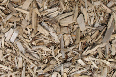 biomass boilers Fernilee